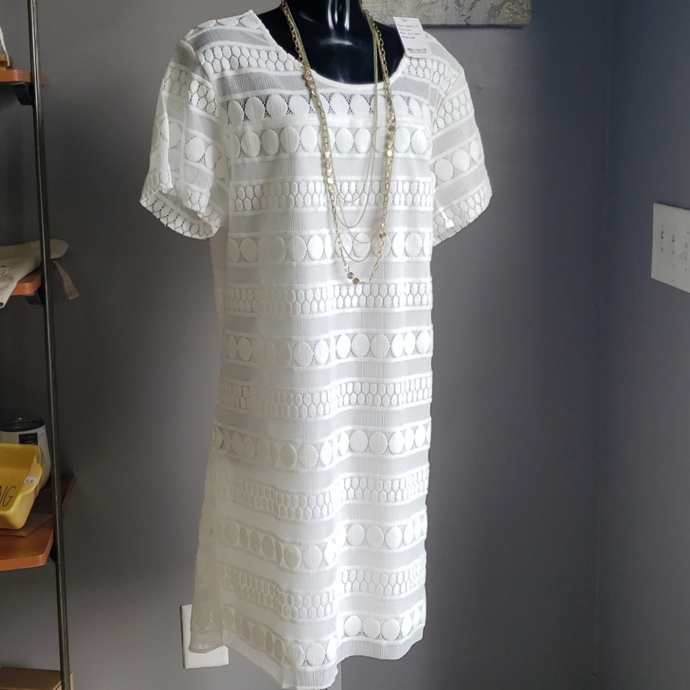 Suzanne Betro White Lace Shift Dress